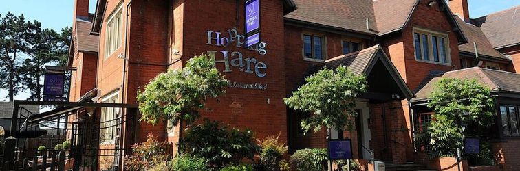 Lainnya The Hopping Hare