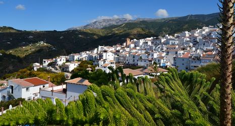 기타 2 Posada la Plaza