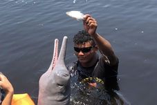 기타 Curupira Amazon Lodge