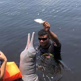 Primary image1Curupira Amazon Lodge,图佩海滩飯店