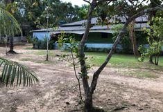 기타 5 Curupira Amazon Lodge