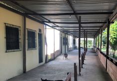 기타 7 Curupira Amazon Lodge