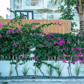 Primary image 1 Mia Villa Binh Chau, Phuoc Hai Hotels