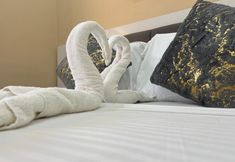 Others 4 Suncity Accomodation