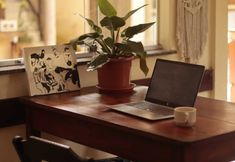 Others 7 DENDE JAZZ HOSTEL E POUSADA