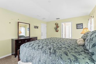 Others 4 Tropical Oasis on Hypolita