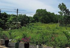 Khác 4 NEP HOMESTAY