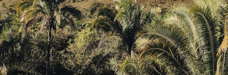 Lain-lain Ashiyana Brasil