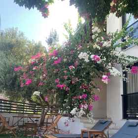 Primary image 1 Loris Rooms, Uzunkuyu Bucağı Hotels