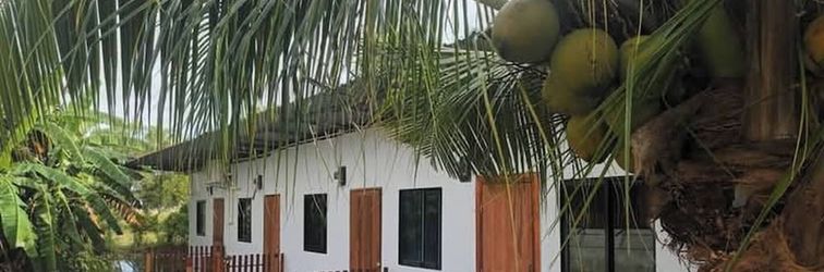 其他 Crowd Free own Pace and Space