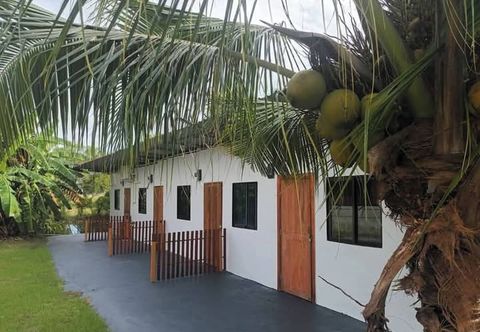 其他 Crowd Free own Pace and Space