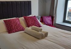 其他 2 Apartment 3 - Belmont - Aberystwyth