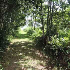 Primary image1Relaxing Nature Stay by Wolin's Shores,沃林飯店