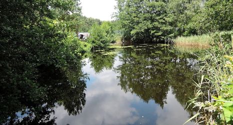 其他 2 Kolczewo Lake & Forest Farm Stay