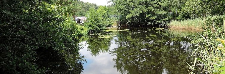 其他 Kolczewo Lake & Forest Farm Stay