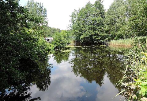 其他 Kolczewo Lake & Forest Farm Stay