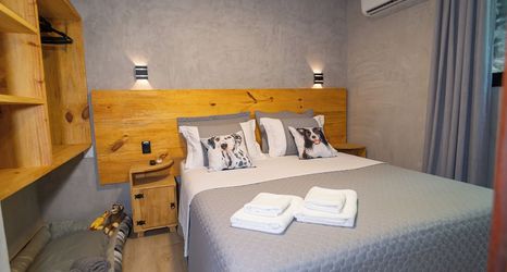 その他 2 Bom pra Cachorro