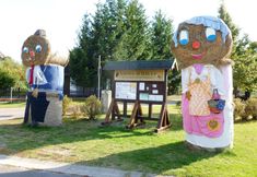 Lainnya 5 Ferienhaus 4 Elemente in Selchow mit Tollem Garten