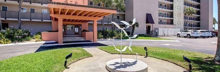 その他 Amelia by the South