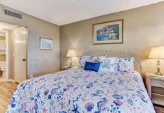 その他 5 Amelia by the South