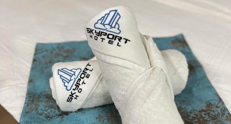 其他 2 Skyport Hotel