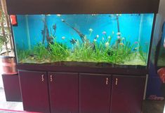 อื่นๆ 2 Hotel APM Grand