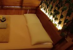 其他 2 Amazon Private Tours Jungle Lodge