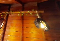 其他 3 Amazon Private Tours Jungle Lodge