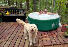 其他 4 Stabbin Cabin 2 on Grant Island-hottub Boat Pets