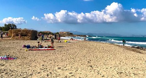 其他 2 Mallorca Beach Front Line Apartment 6 Pers