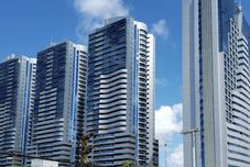 Others Dolphins Tech