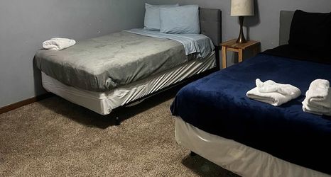 기타 2 Wildwind Charmer