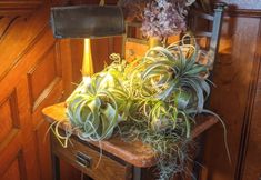 Others 4 Heddwyn House