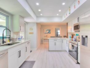 其他 4 The Mermaid and the Sea Turtle