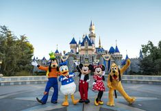 Others 5 Modern Oasis 10 Min From Disneyland With Pool GYM