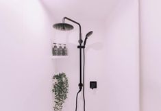 其他 4 Minimalist Loft 2: Namba Compact Studio & 24/7 Gym