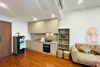 기타 4 Yangguang Elite