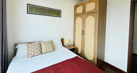 기타 2 Yangguang Elite