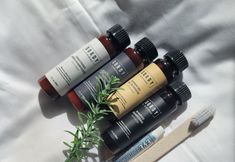 Others 4 Rabbit Hotel