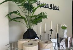 Others 3 Rabbit Hotel