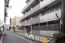 其他 Sharman Yayoi