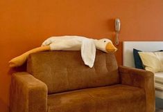 Lain-lain 2 Continew Residence by Xuan and Partner