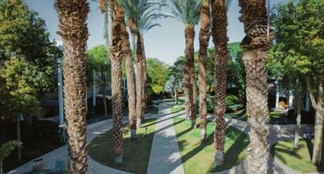 Others 2 Royal Park Resort 11