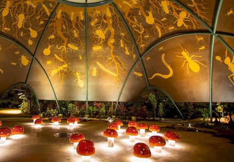 Others 1 Bedroom Beautiful Unit in Prime Location