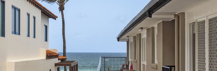 Others Thirty-Nine Albatross