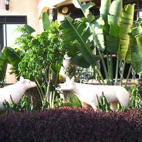 Primary image 1 Great Wolf Hotel, Entebbe International Airport (EBB) Hotels