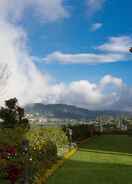 Primary image Tea Plant Nuwara Eliya