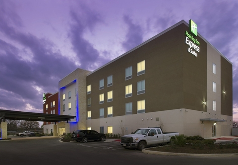 Others Holiday Inn Express & Suites New Braunfels, an IHG Hotel