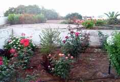 Others 7 Olympia Apartments