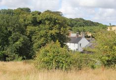 Others 5 Costislost Organic Retreat